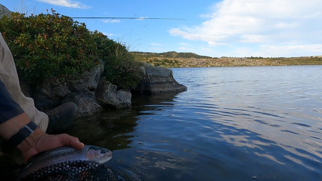 Pêche à la mouche en nymphe à vue dans un lac d'altitude des Pyrénées-Orientales