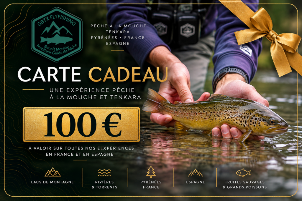 Carte cadeau pêche à la mouche de 100 € avec logo GBTX Flyfishing et photographie d'une truite fario.