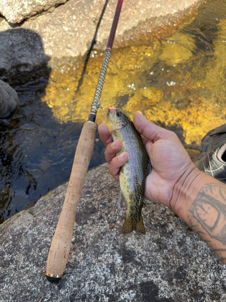 Pêcheur à la mouche au bord d'un lac de montagne dans les Pyrénées catalanes.