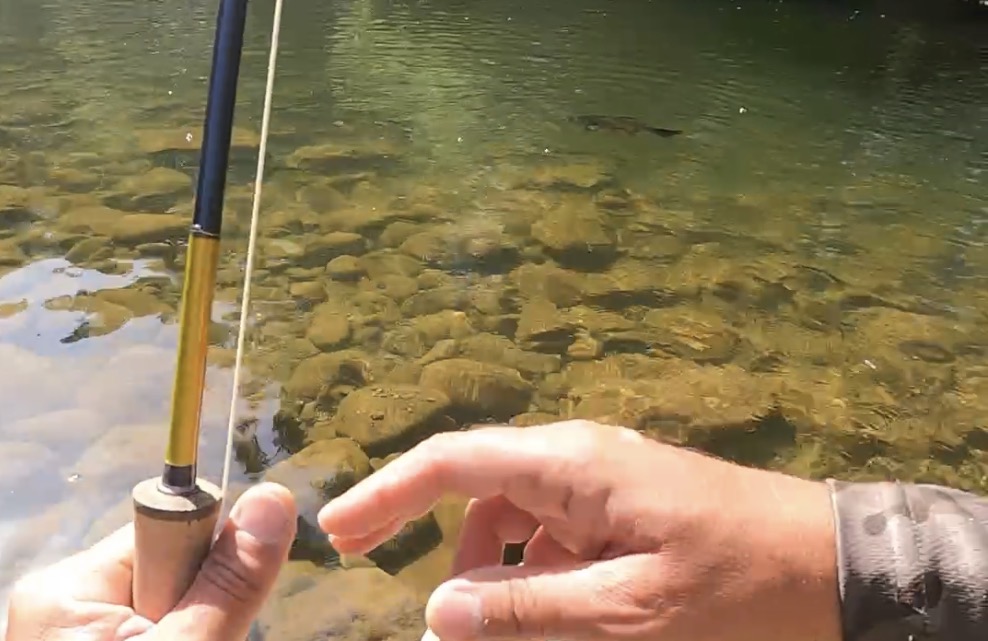 Pêcheur à la mouche pratiquant en rivière dans les Pyrénées catalanes