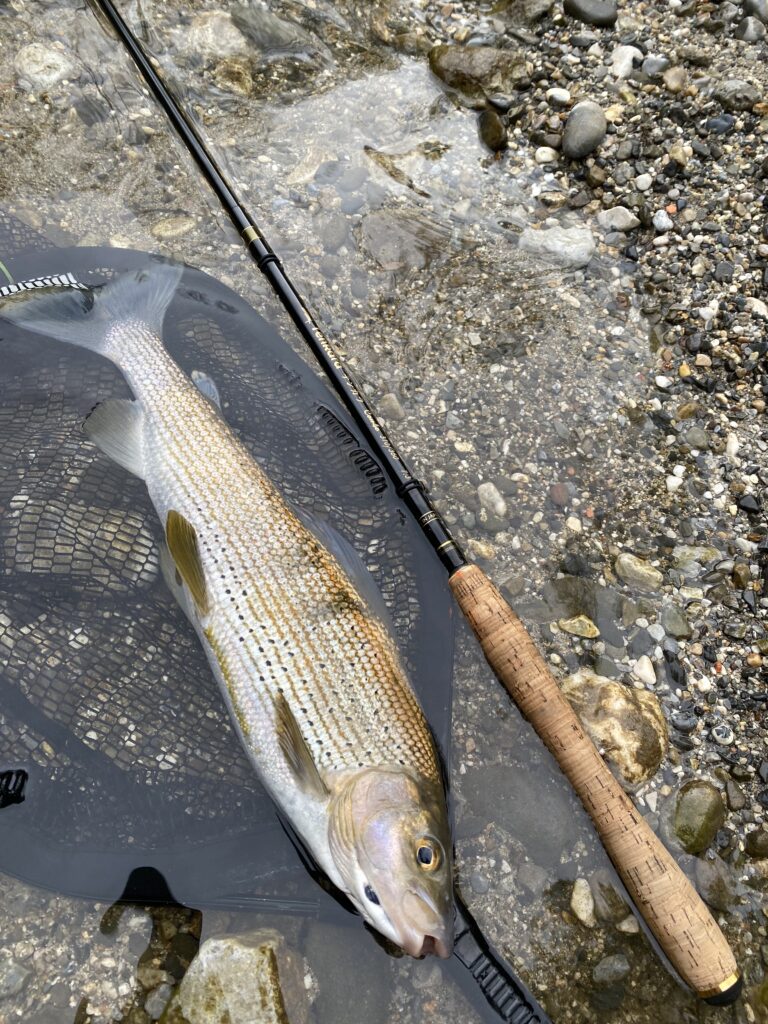 ombre et canne tenkara sur les rochers d'une rivière de plaine.