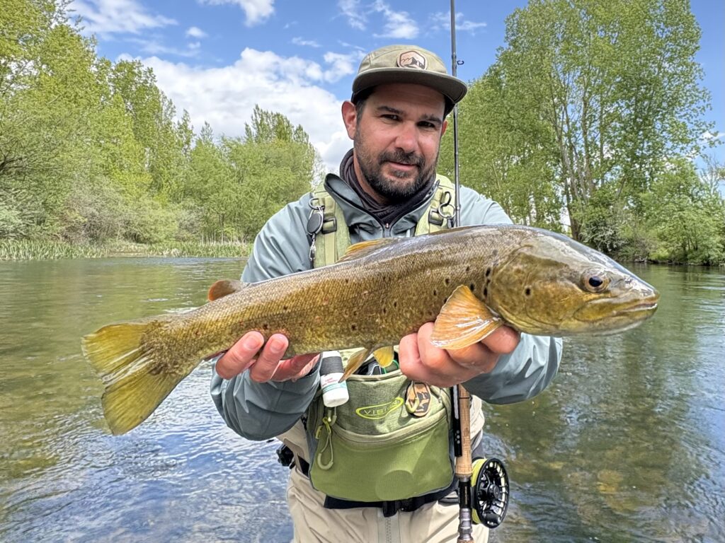 Pêcheur présentant une belle truite fario capturée à la mouche dans une rivière des Pyrénées.