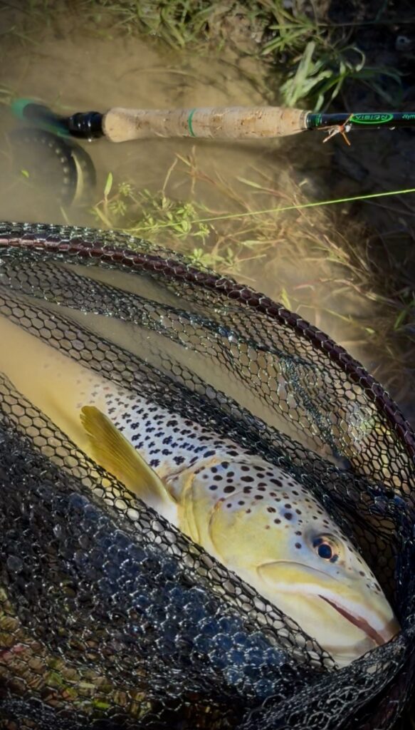 Pêche à la mouche au streamer dans les rivières des Pyrénées-Orientales