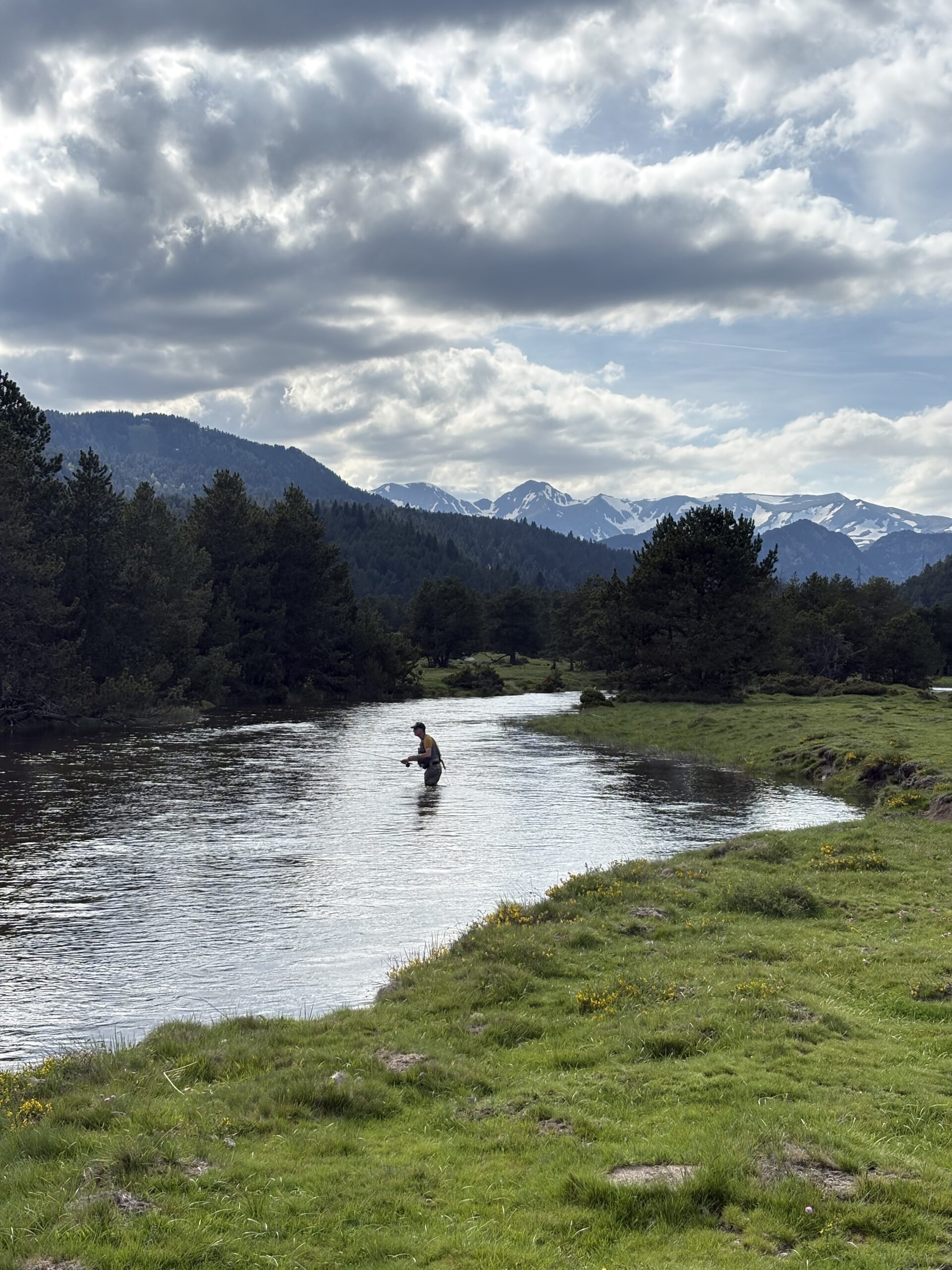 Pêcheur à la mouche dans une rivière de montagne des Pyrénées catalanes, entourée de forêts et de sommets.