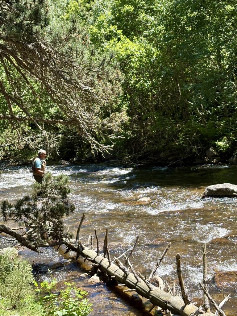 Pêche à la mouche en rivière et torrent dans les Pyrénées-Orientales, Capcir et Cerdagne
